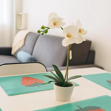 Apartment Mas Du Tanit - Studio, 4p, Terrasse & Piscine
